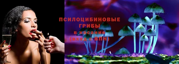 a pvp Алзамай
